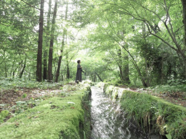 稗の底村跡散策　知られざる里山編